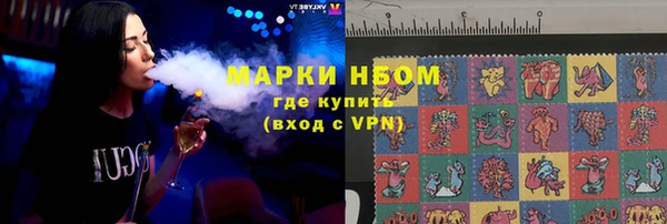 шишки Нязепетровск