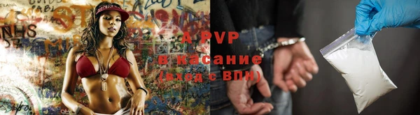 шишки Нязепетровск